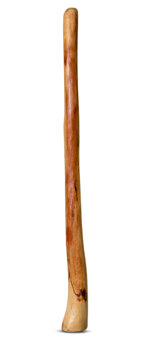 Medium Size Natural Finish Didgeridoo (TW519)